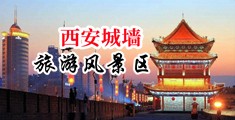 大鸡巴插臊屄图中国陕西-西安城墙旅游风景区